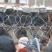 Emigrantët e bllokuar në Bjellorusi përleshen me ushtrinë, thirrja urgjente e Ministrise: Po tentojnë të shkatërrojnë gardhin!