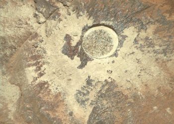 Dora e njeriut në Mars? Imazhet e Preserverance të NASA-s nxisin teoritë konspirative