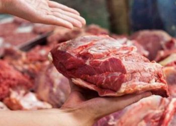 Tregtonin mishin e kalit duke e shitur si “mish viçi”/ Arrestohen 6 persona, e kishin transportuar kudo në Europë