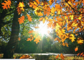 Java nis me vranësira në këto zona/ Ja sa shkojnë temperaturat