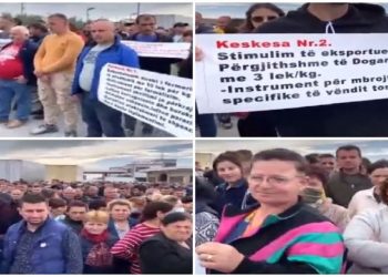 ‘Malli nuk shitet, po e hedhim në kosh’, fermerët e Myzeqesë ngrihen në protestë