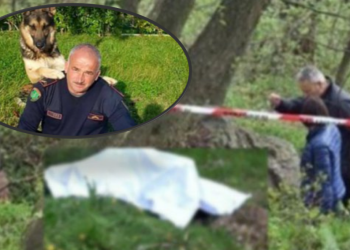 U ul mbi gurë/ Si e zbuloi qeni “Brendi” kufomën e Rruzhdi Hoxhës tek Mali i Dajtit. Ishte qëlluar me dy plumba