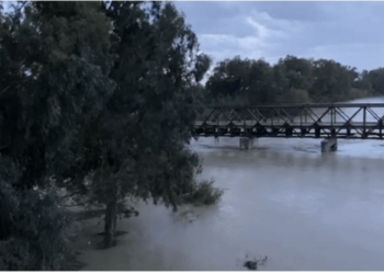 Reshjet e dendura të shiut, Vjosa del nga shtrati, përmbytet tregu në Novoselë