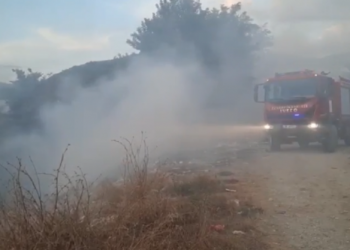 Dyshohet i qëllimshëm/ Bie zjarr në plantacionet me ullinj në lagjen ‘Kala’ të Beratit