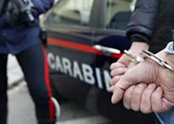Itali/ Heroinë në frigoriferin e kamionit, pranga 37-vjeçarit shqiptar