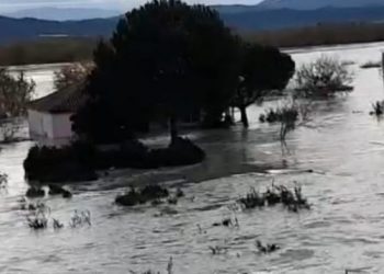 Pas përmbytjeve/ Kosova afron sërish ndihmë për Shqipërinë