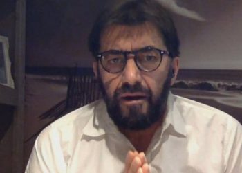 Ilir Demalia: Bajatizmi nacionalist i Sali Berishës!