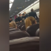 VIDEO/ Burri hap derën e avionit dhe tenton të hidhet kur mëson se do të ulej në Beograd
