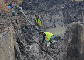 Lushnja tre ditë pa ujë, deputeti: Nesër del shampo për morrat, për të tjerët furçe me fije metalike