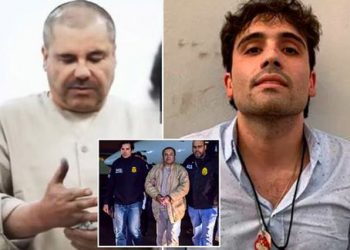 Nuk pranoi t’i këndonte në dasmë/ Djali i El Chapo-s hamerret, urdhëroi vrasjen e këngëtarit të famshëm
