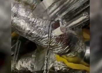 Zbulohen dy magazina kanabisi. 6 të arrestuar, mes tyre 2 punonjës të OSHEE