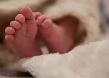 Bashkia Has nxjerr dokumentet: Familja ku vdiq foshnja 3-muajshe kishte mbështetje maksimale