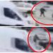 Po kalonte te vijat e bardha, VIDEO kur X5 përplas 16-vjeçaren në Kamëz/ Shoferi u largua