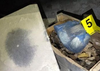FOTO/ Drogë dhe armë në Tepelenë, policia vë në pranga 2 persona (EMRAT)