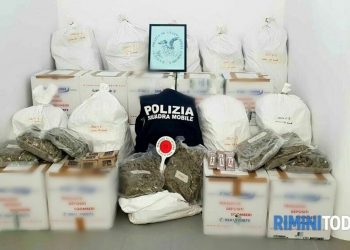 Pjesë e një organizate të trafikut të drogës/ Arrestohen 5 shqiptarë, kokaina vinte nga Spanja dhe fshihej në …!