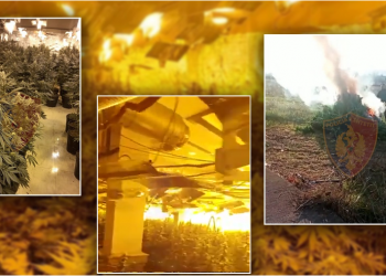 “Spiuni” zbulon “shtëpinë e barit”/ Arrestohen 7 persona në Kurbin, mes tyre elektricistë dhe faturistë