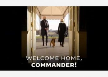 Emri i rrallë/ Qeni i ri i presidentit amerikan Joe Biden quhet… Komandant!