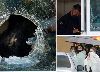 Tragjike/ Policia po qëllonte një agresor në një qendër tregtare, plumbat vrasin 14-vjeçaren. Po provonte rrobat e festave