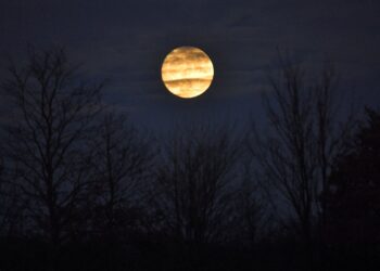 Falë hënës së plotë, këto tre shenja do të kalojnë një javë të paharrueshme!