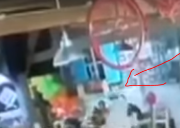 VIDEO +18 / Ja momenti kur autori me lule në dorë e qëllon me plumb në kokë Ergys Dashin