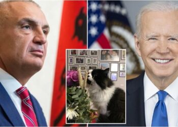 FOTO/ “Përshëndetje nga Shqipëria”! Meta i “mburret” Biden me macen e tij, por i fsheh emrin rus Sasha