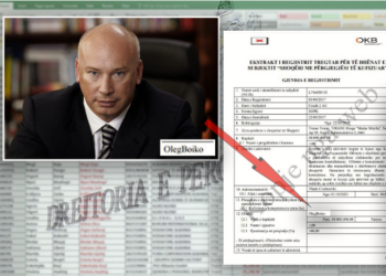 I arrestuari për skandalin e publikimit të pagave punon për një miliarder rus. Çfarë thotë raporti i inteligjencës amerikane