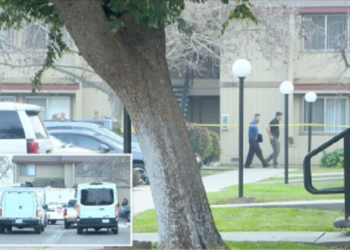 TRAGJEDIA/ Gjenden 3 fëmijë të vdekur dhe nëna e tyre e plagosur, ja çfarë dyshon policia