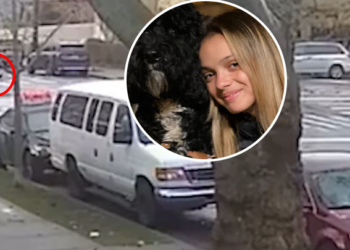 VIDEO+FOTO/ Kujdes, pamje të rënda: Autobusi përplas për vdekje dhe shkel sipër vajzën 15-vjeçare