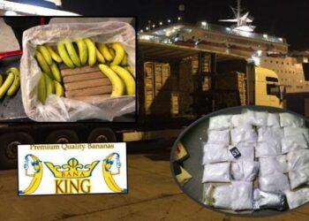 Gazetarja për sekuestrimin e 119 kg kokainë: Kambanë alarmi! Trafikantët janë të paprekur