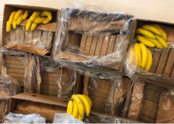 Alo policia hajde na ndihmo të shkarkojmë 20 ton banane? Gazetarja: Çudia, se si u zbuluan 119 kg kokainë, pse ka frikë biznesmeni