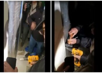 Militantët e Berishës tentojnë të hapin me trapan dhe çekiç derën e hekurt brenda në PD