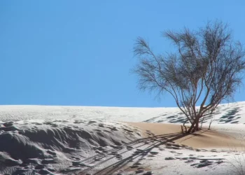 FOTO | Fenomen i rrallë në Sahara, dëbora mbulon shkretëtirën