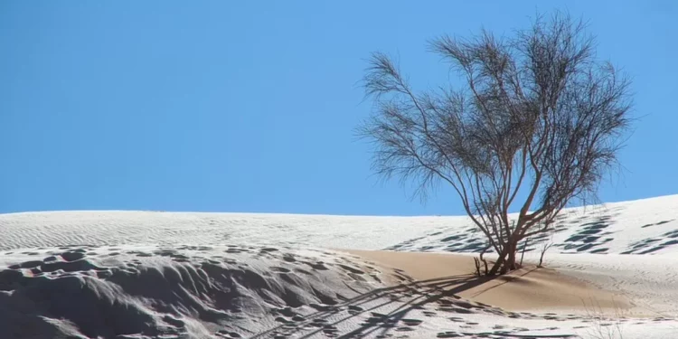 FOTO | Fenomen i rrallë në Sahara, dëbora mbulon shkretëtirën