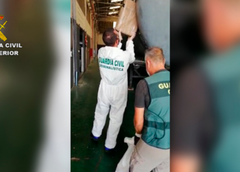 1.6 tonë drogë nga Afrika në Spanjë/ Policia kap trafikantin shqiptar, në pranga edhe 5 spanjollë