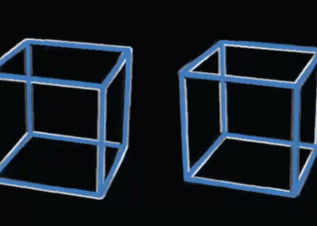 VIDEO/ Iluzioni optik që po “çmend” rrjetin, a lëvizin në të vërtetë kubat?