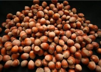 E pabesueshme sa fiton Turqia nga lajthia? Ja shifra marramendëse