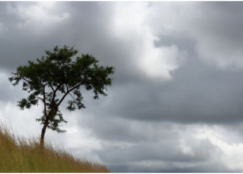 Dita nis me vranësira dhe ulje temperaturash/ Si parashikohet të jetë moti për sot