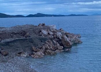 Inerte në det për zgjerimin e aktivitetit, në pranga 42-vjeçari në Sarandë