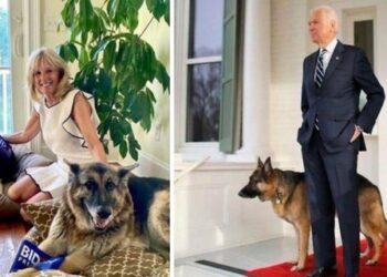 VIDEO/ Ambasada amerikane në Tiranë prezanton pjestarin më të ri të familjes Biden: Jeni njohur me Komandantin?