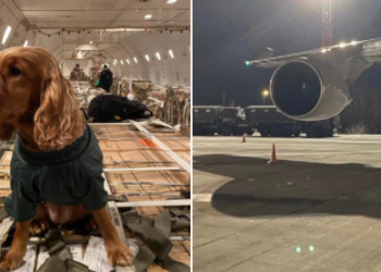 ‘Një tjetër zog në Kiev’/ Tensionet me Rusinë, mbërrin në Ukrainë pjesa e dytë e ndihmës ushtarake amerikane