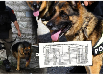 Ankandi/ Policia nxjerr qentë në shitje, “Lisa” fillon nga 20 000 lekë, “Riku” 8 000 lekë