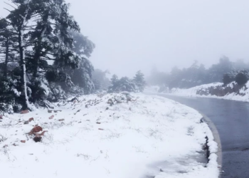 Acari mbërthen Shqipërinë/ Ministria e Mbrojtjes tregon si është situata në vend: Situata është nën kontroll