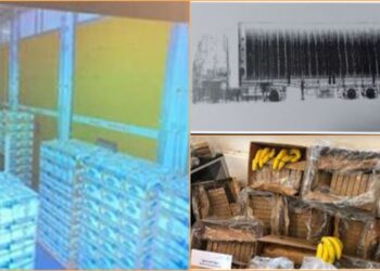 119 kg kokainë nga Ekuadori në Tiranë, foto të skanerit, si e nxori kontejnerin të pastër