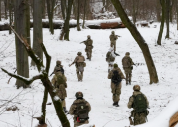 Çfarë dimë mbi krizën në Ukrainë?