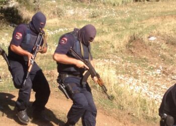 Vlorë/ Policia kontrollon 300 objekte por nuk gjen dot rrënjë kanabisi