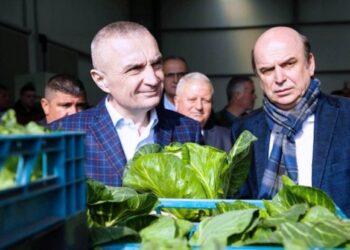 “Me forcat tona“/ Ish ministri i LSI: Të ndalohet importi, vetëm në këtë mënyrë do të shesim prodhimet vendase!