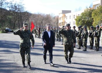 Pushtimi rus/ Sa e rrezikuar është Shqipëria e Kosova? Peleshi: Shpresojmë për skenarin më të mirë, por përgatitemi për më të keqin