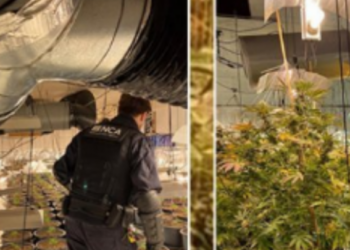 EMRI/ “Doja të shlyeja borxhin për transportin”, 26 vjeçari shqiptar kapet brenda “shtëpisë së barit” në Angli