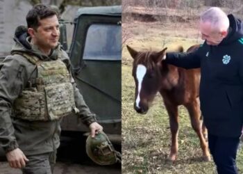24 shkurti i Zelenskyt, 2 marsi i Metës dhe “pjella” ndryshe nga dy Presidencat