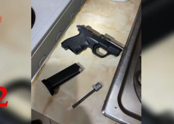 Qëlloi me armë zjarri drejt nënës së tij, arrestohet një person në Lushnje. Çfarë i gjeti policia në shtëpi